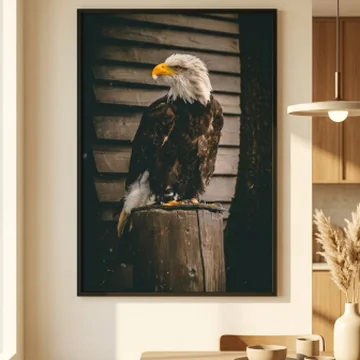 Quadro de &aacute;guia careca